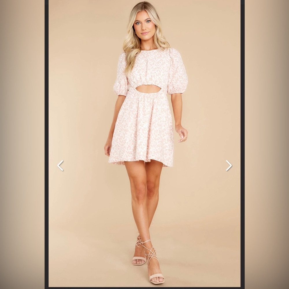 NWOT Red Dress Boutique | Glimpse Of Love Light Pink Floral Print Dress